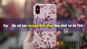 ban-op-lung-dien-thoai-re-dep-tai-ha-tinh