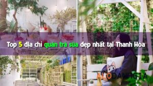 quan-tra-sua-view-dep-nhat-tai-thanh-pho-thanh-hoa